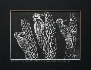 Grafika artystyczna na ścianę, Linoryt czarno-biały sygnowany 17,5 x 24,5 cm - TRZY DZIĘCIOŁY Z CYKLU TATA DZIECIOM