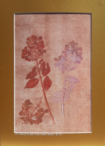 Grafika artystyczna na ścianę, Technika mieszana, kolor, sygnowana 24,5 x 38,0 cm - MOJA HORTENSJA IV
