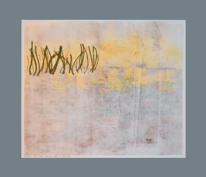 Grafika artystyczna na ścianę, Monotypia, kolor, sygnowana 49,5 x 59,0 cm - MOKRADŁA V