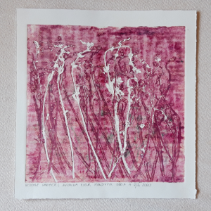Grafika artystyczna na ścianę, Monotypia, kolor, sygnowana 25,5 x 26 cm - WRZOSOWE WARIACJE I