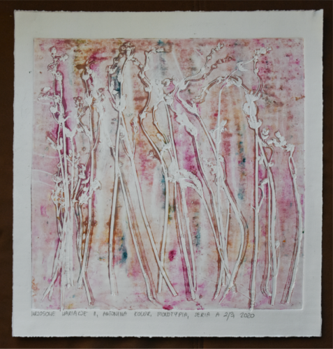 Grafika artystyczna na ścianę, Monotypia  kolorowa, praca sygnowana, Wrzosowe wariacje II, Seria 2/3