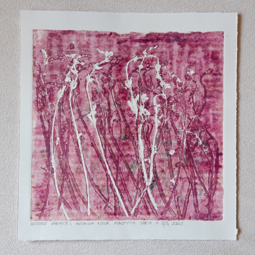 Grafika artystyczna na ścianę, Monotypia  kolorowa, praca sygnowana, Wrzosowe wariacje I, Seria A  2/3