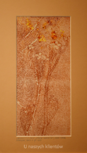 Grafika artystyczna na ścianę, Monotypia, kolor, sygnowana 12,5 x 27,5 cm - WROTYCZ I Z CYKLU ZIOŁOWE INSPIRACJE