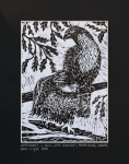 Grafika artystyczna na ścianę, Linoryt czarno-biały sygnowany 15,0 x 21,0 cm - JASTRZĘBIE Z CYKLU TATA DZIECIOM