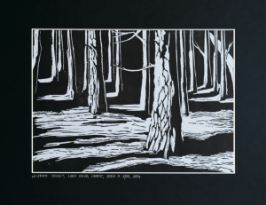 Grafika artystyczna na ścianę, Linoryt czarno-biały sygnowany 21,0 x 30,0 cm - W LEŚNYM CIENIU