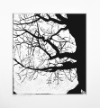 Grafika artystyczna na ścianę, Linoryt czarno-biały sygnowany 32,0 x 29,0 cm - Starość, passe-partout białe.png