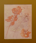 Grafika artystyczna na ścianę, Monotypia, kolor, sygnowana 23,5 x 29,5 cm - MOJA HORTENSJA III