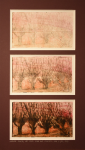Grafika artystyczna na ścianę, Monotypia, kolor, sygnowana 24,0 x 42,0 cm - tryptyk WIERZBY BIAŁE I