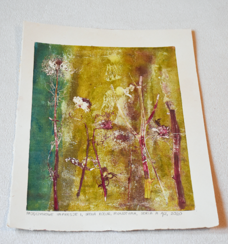 Grafika artystyczna na ścianę, Monotypia  kolorowa, praca sygnowana, Pajęczynowe impresje I, Seria A 1/2.png