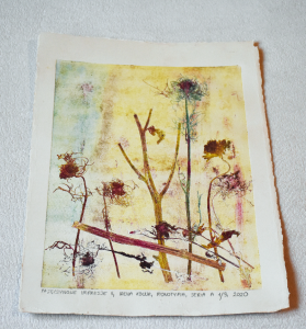 Grafika artystyczna na ścianę. Monotypia kolorowa sygnowana 29,0 x 20,5 cm - PAJĘCZYNOWE IMPRESJE II