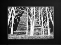 Grafika artystyczna na ścianę, Linoryt czarno-biały sygnowany 20,5 x 29,5 cm - Andrzejówka. Cerkiew p.w. Zaśnięcia Matki Bożej, passe-partout czarne.png