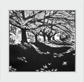 Grafika artystyczna na ścianę, Linoryt czarno-biały sygnowany 29,5 x 32,0 cm - Jesień, passe-partout białe.png